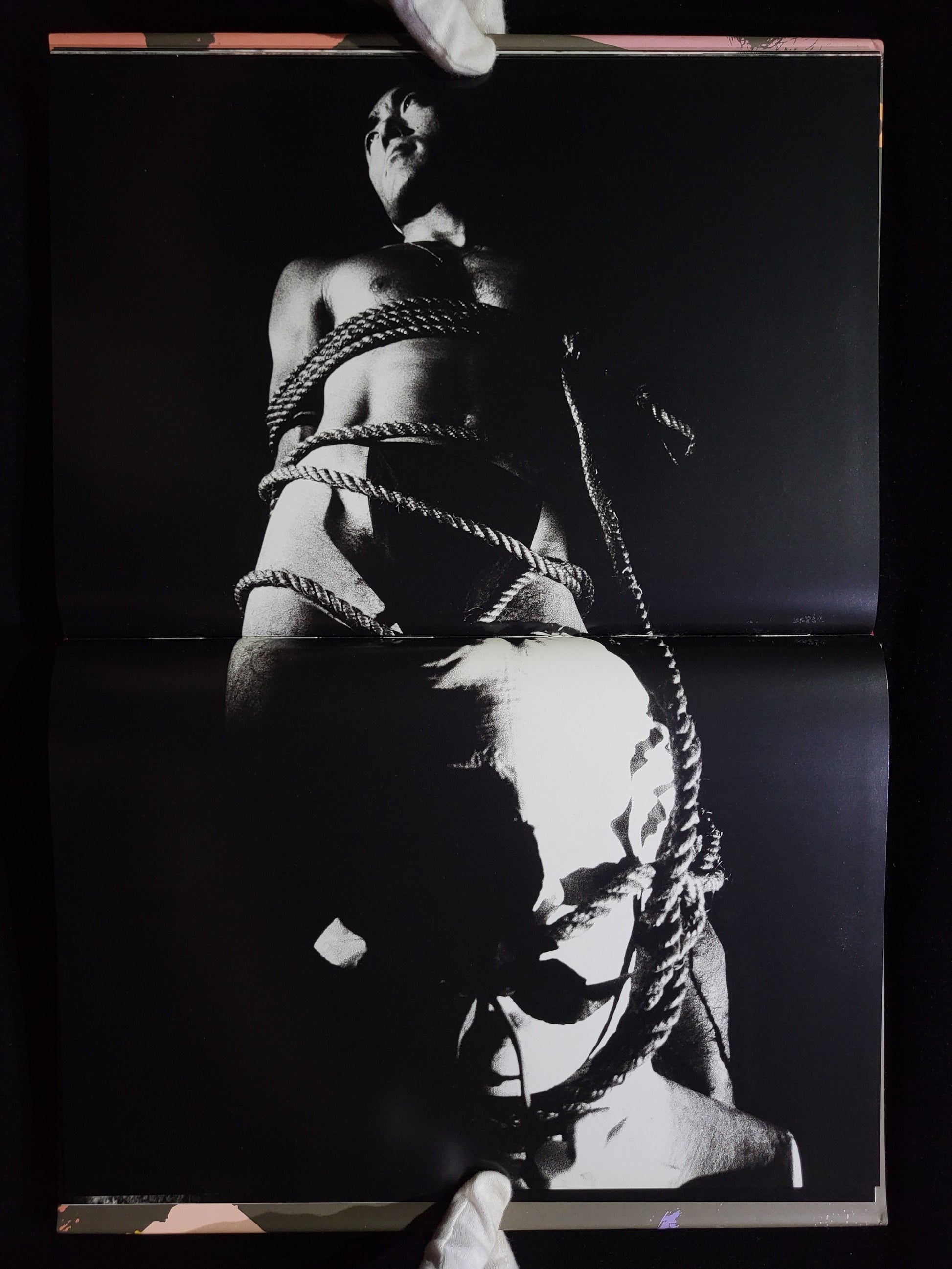 薔薇刑 BA-RA-KE-I / 細江英公