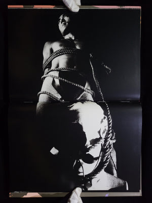 薔薇刑 BA-RA-KE-I / 細江英公