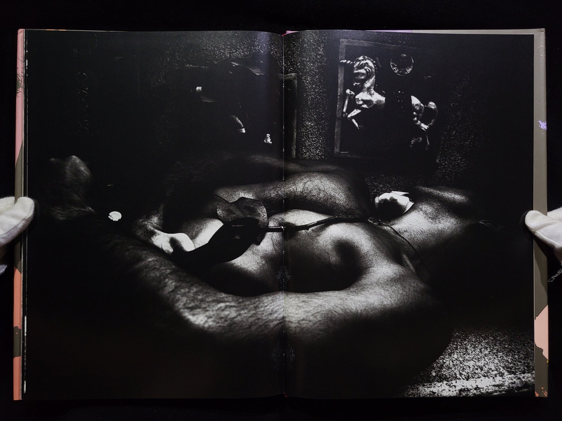 薔薇刑 BA-RA-KE-I / 細江英公