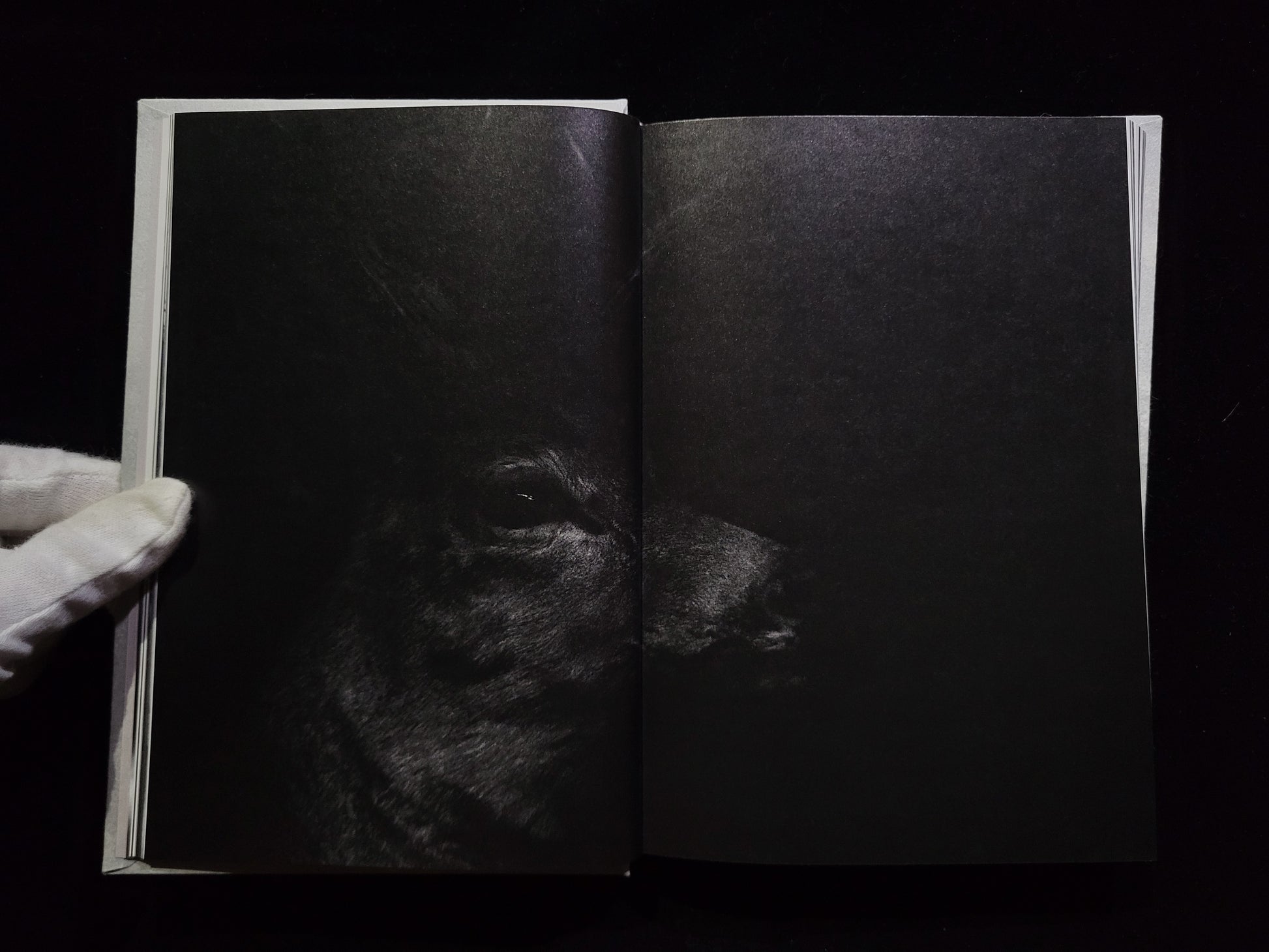 Ango / 野村佐紀子