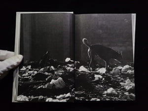 Ango / 野村佐紀子