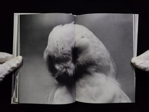 Ango / 野村佐紀子