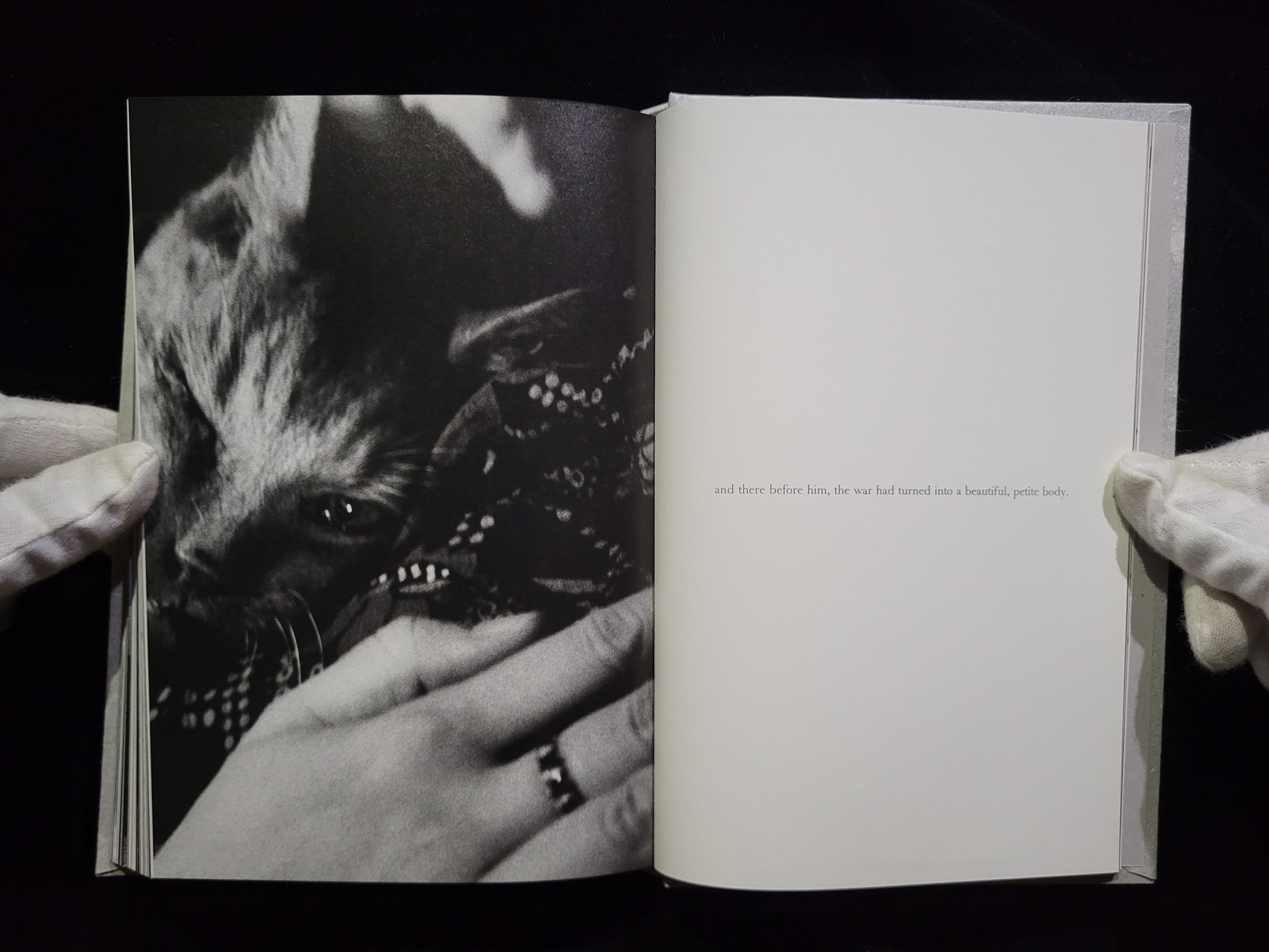 Ango / 野村佐紀子