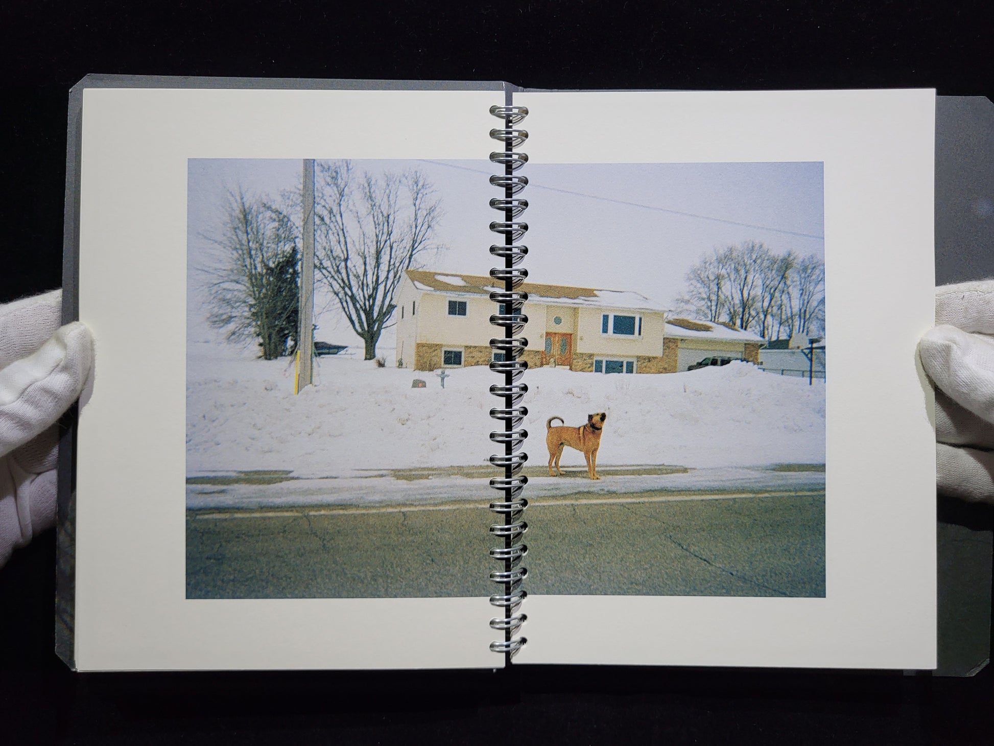House of Coates / Alec Soth