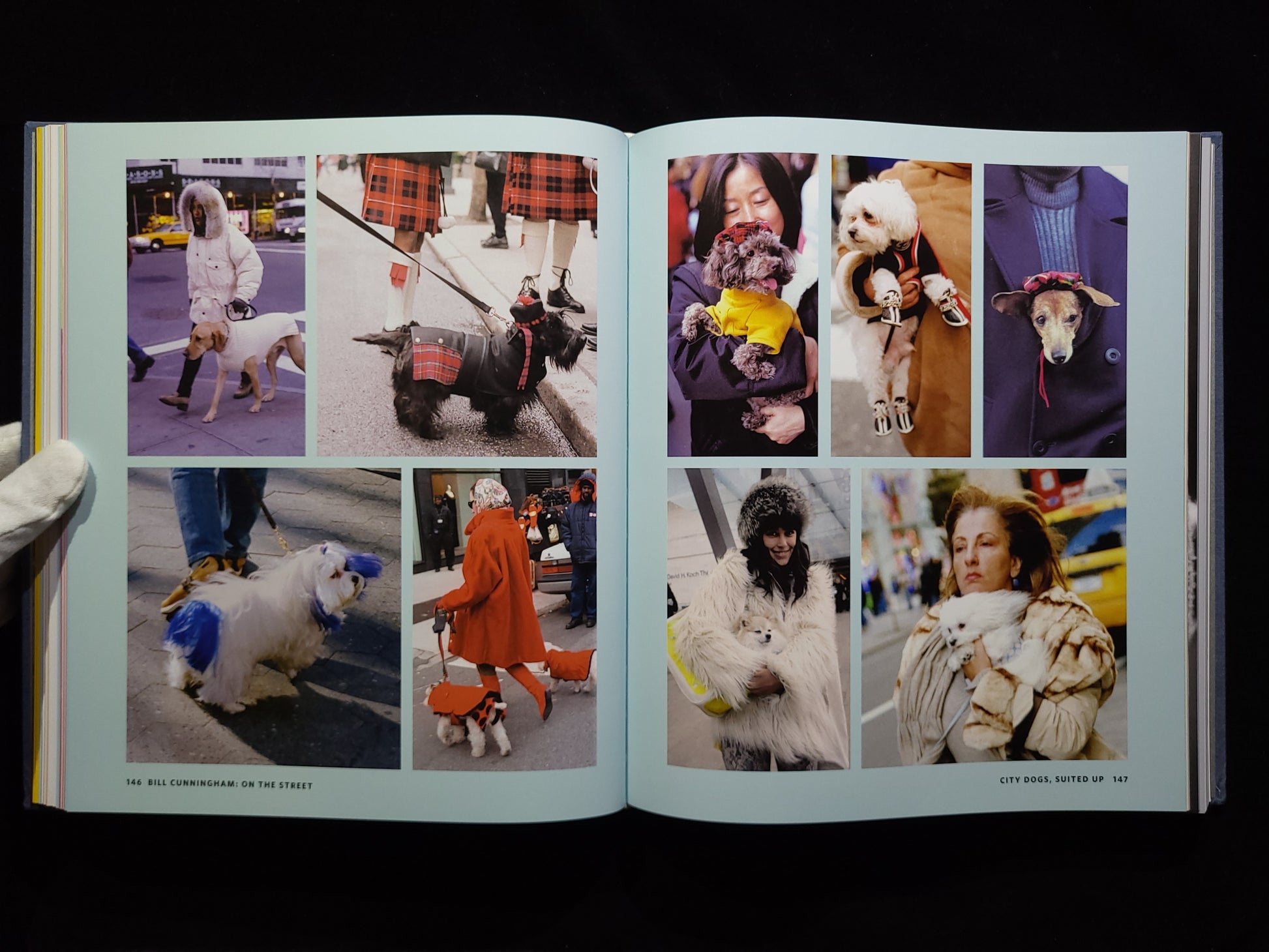 On the Street Bill Cunningham