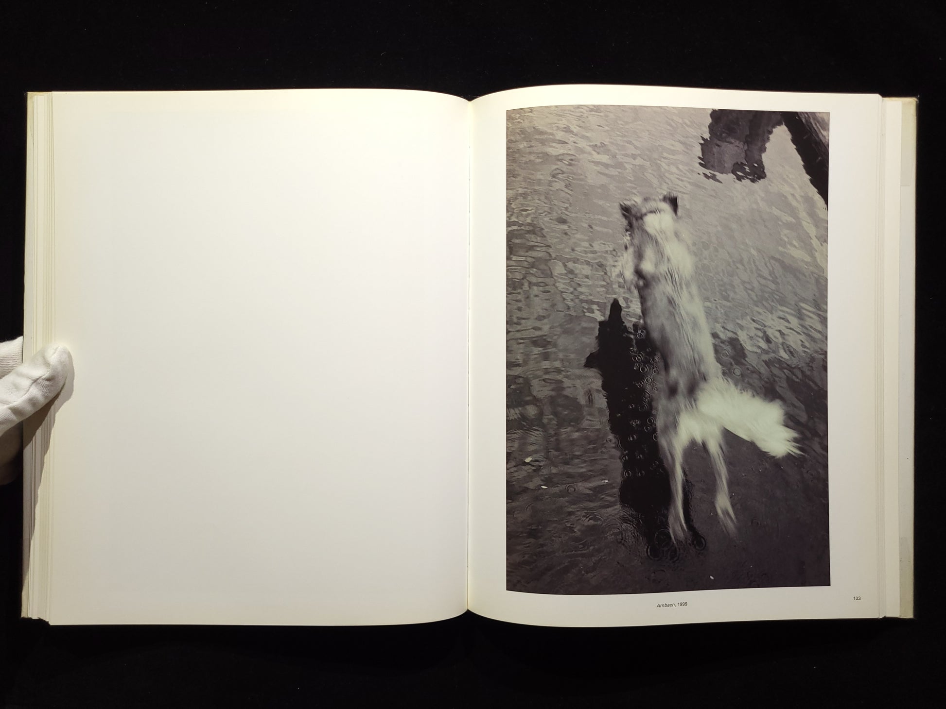 View From Above / Wolfgang Tillmans