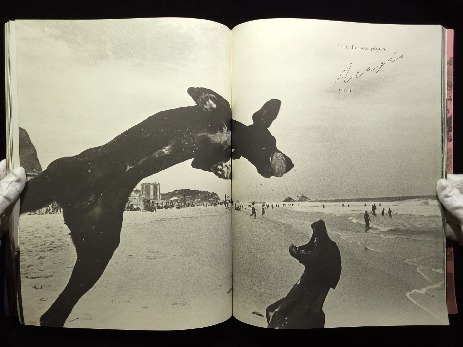 O RIO DE JANEIRO / Bruce Weber