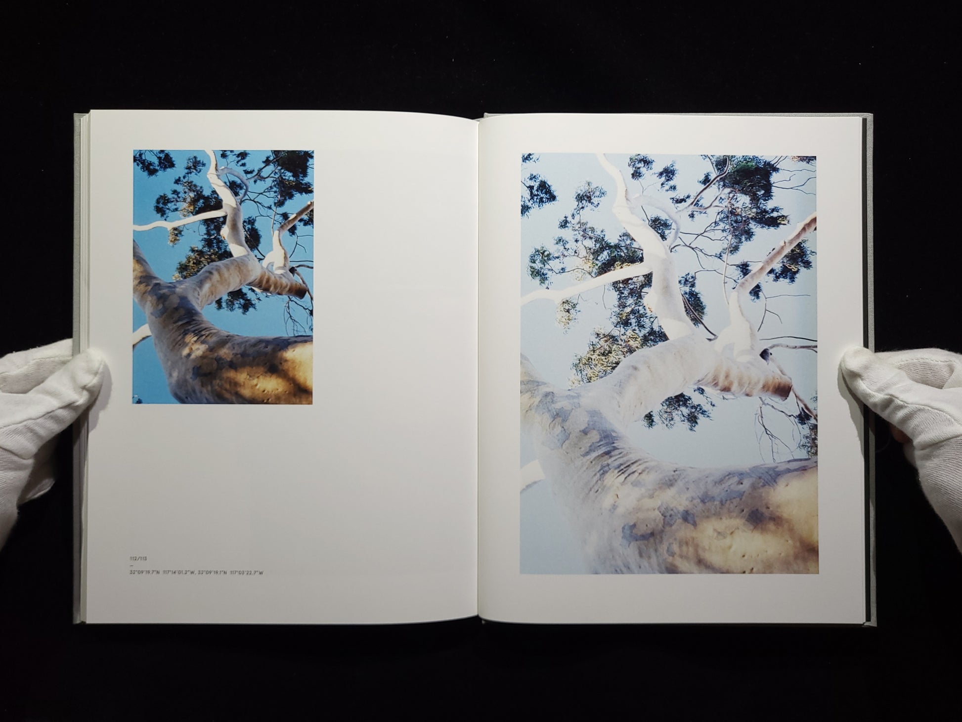 Los Angeles/San Francisco / 奥山由之