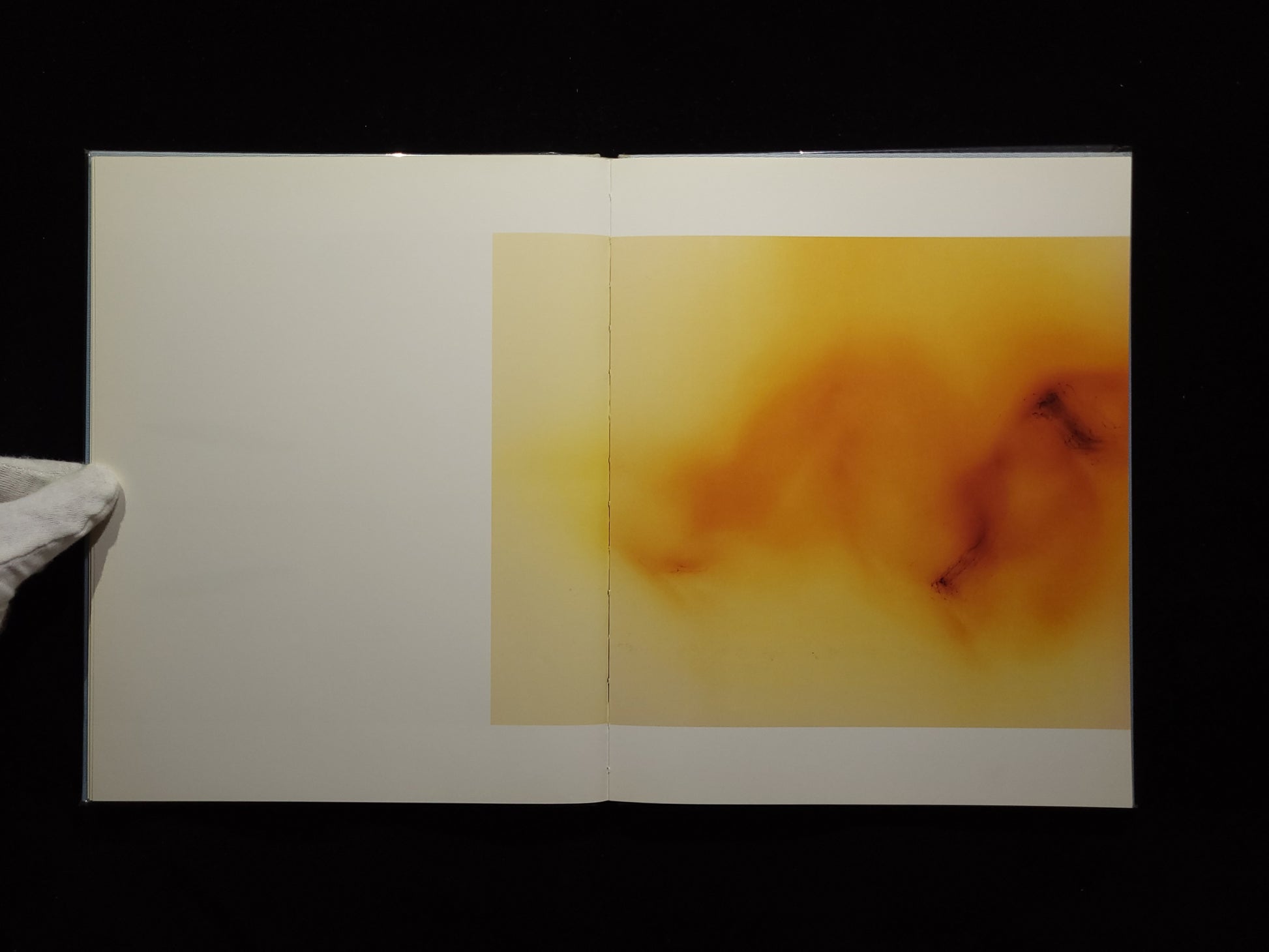 Freedom from the Known / Wolfgang Tillmans