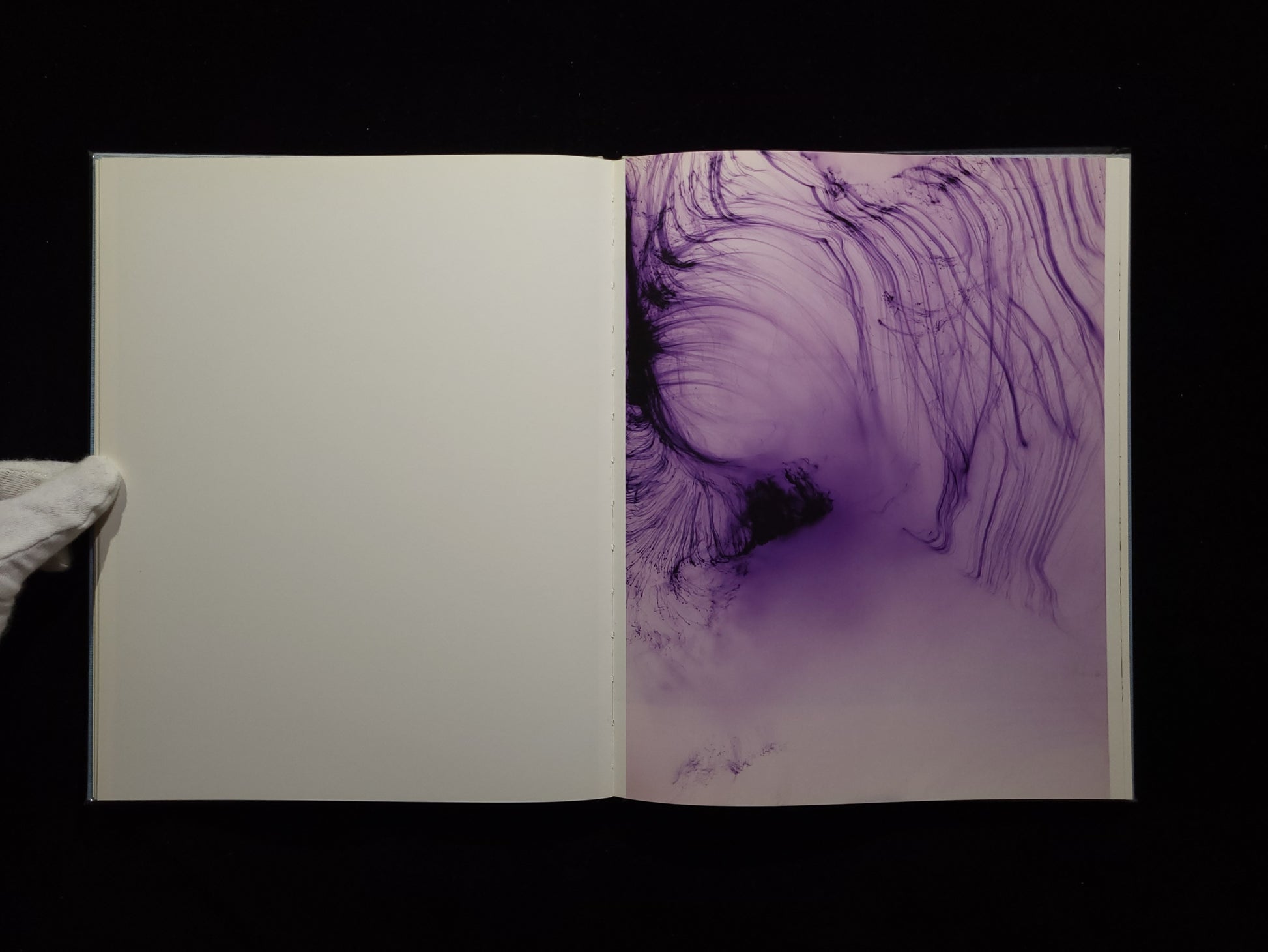 Freedom from the Known / Wolfgang Tillmans