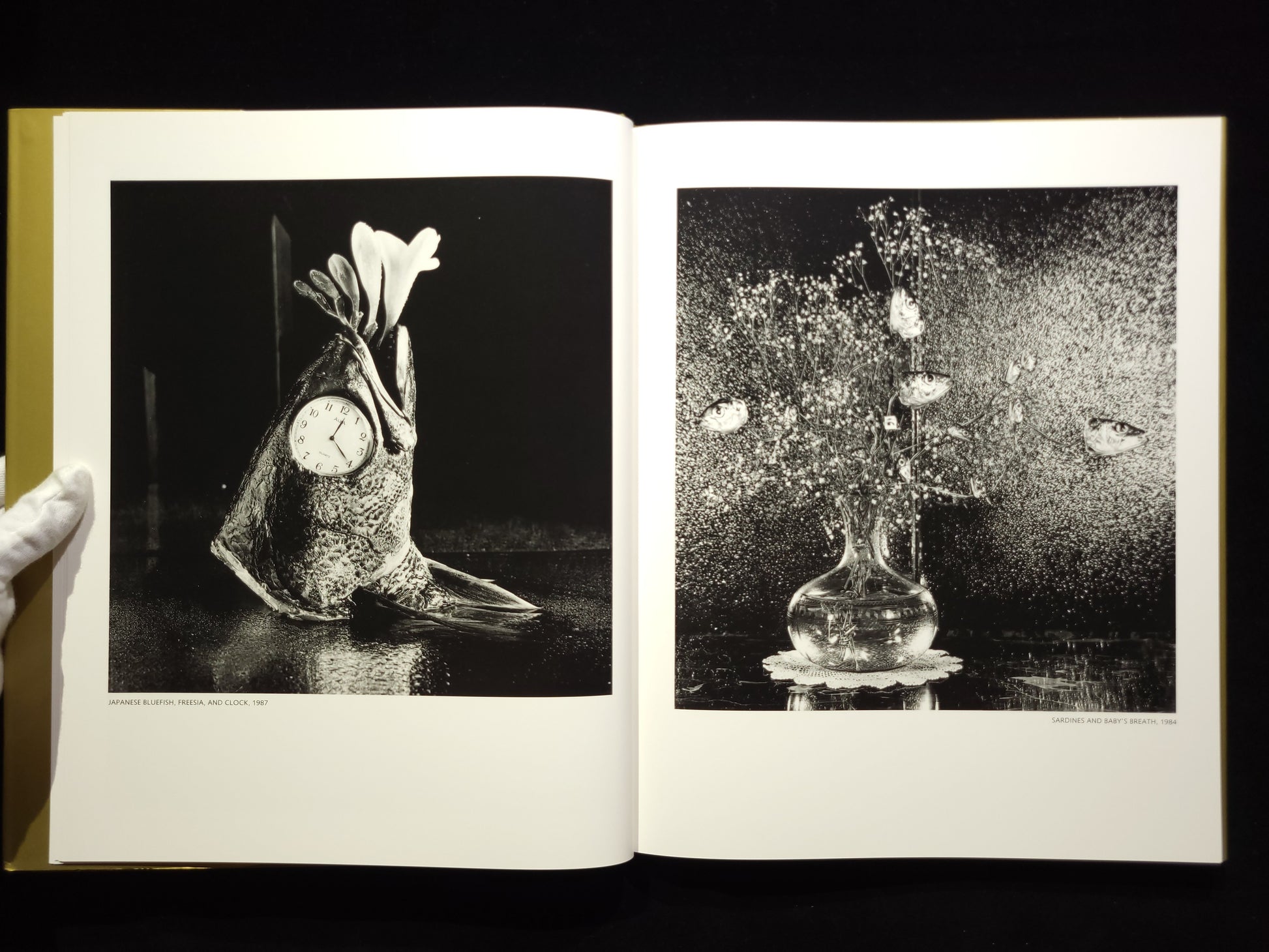 Michiko Kon: Still Lifes / 今道子