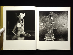 Michiko Kon: Still Lifes / 今道子