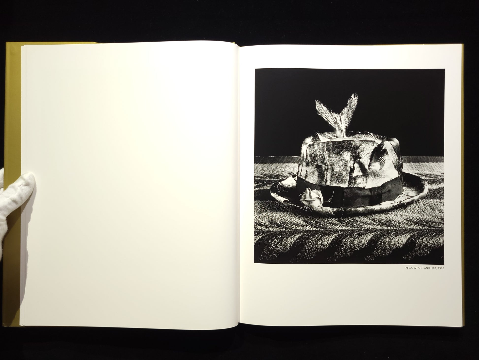 Michiko Kon: Still Lifes / 今道子