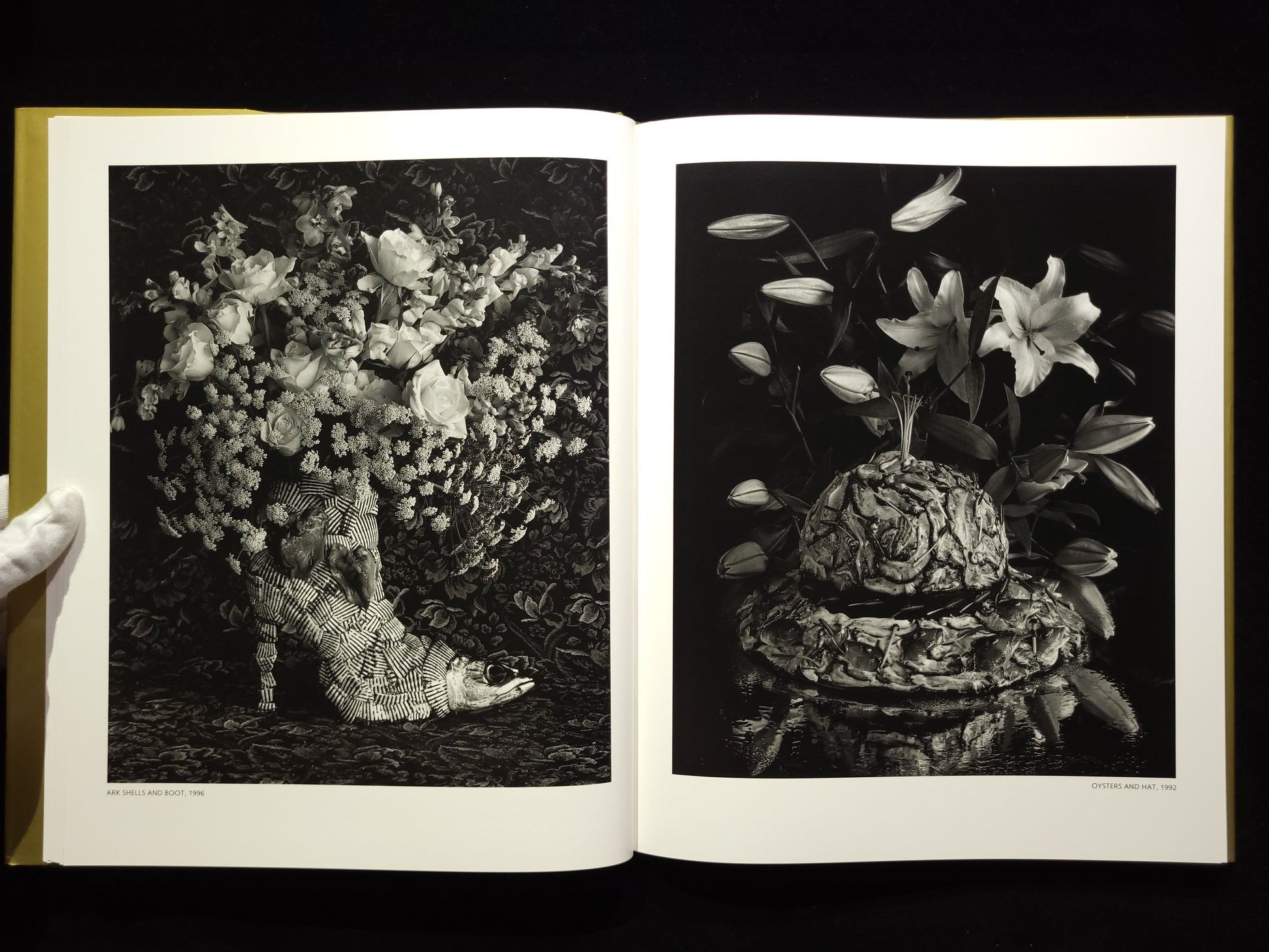 Michiko Kon: Still Lifes / 今道子