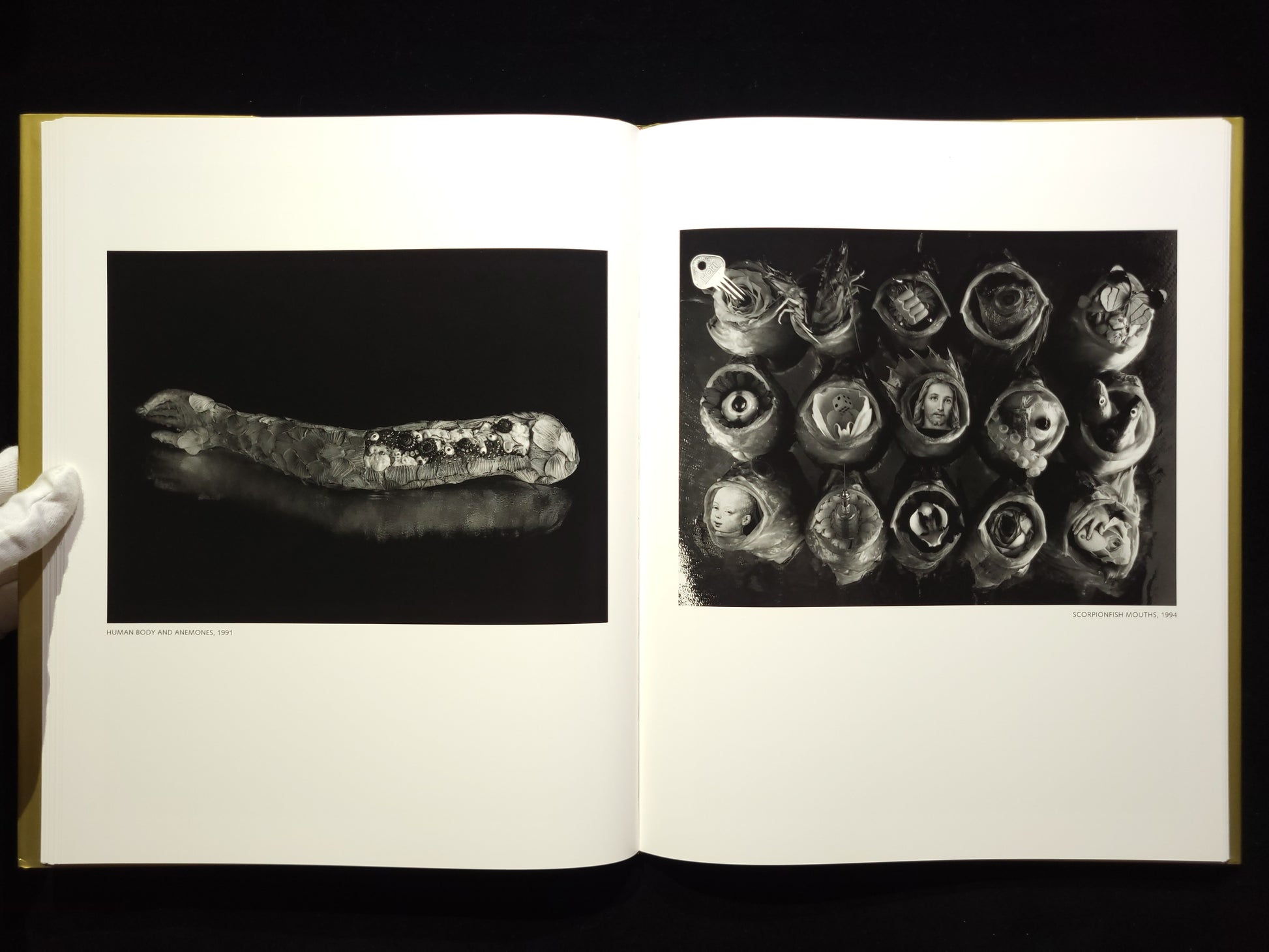 Michiko Kon: Still Lifes / 今道子