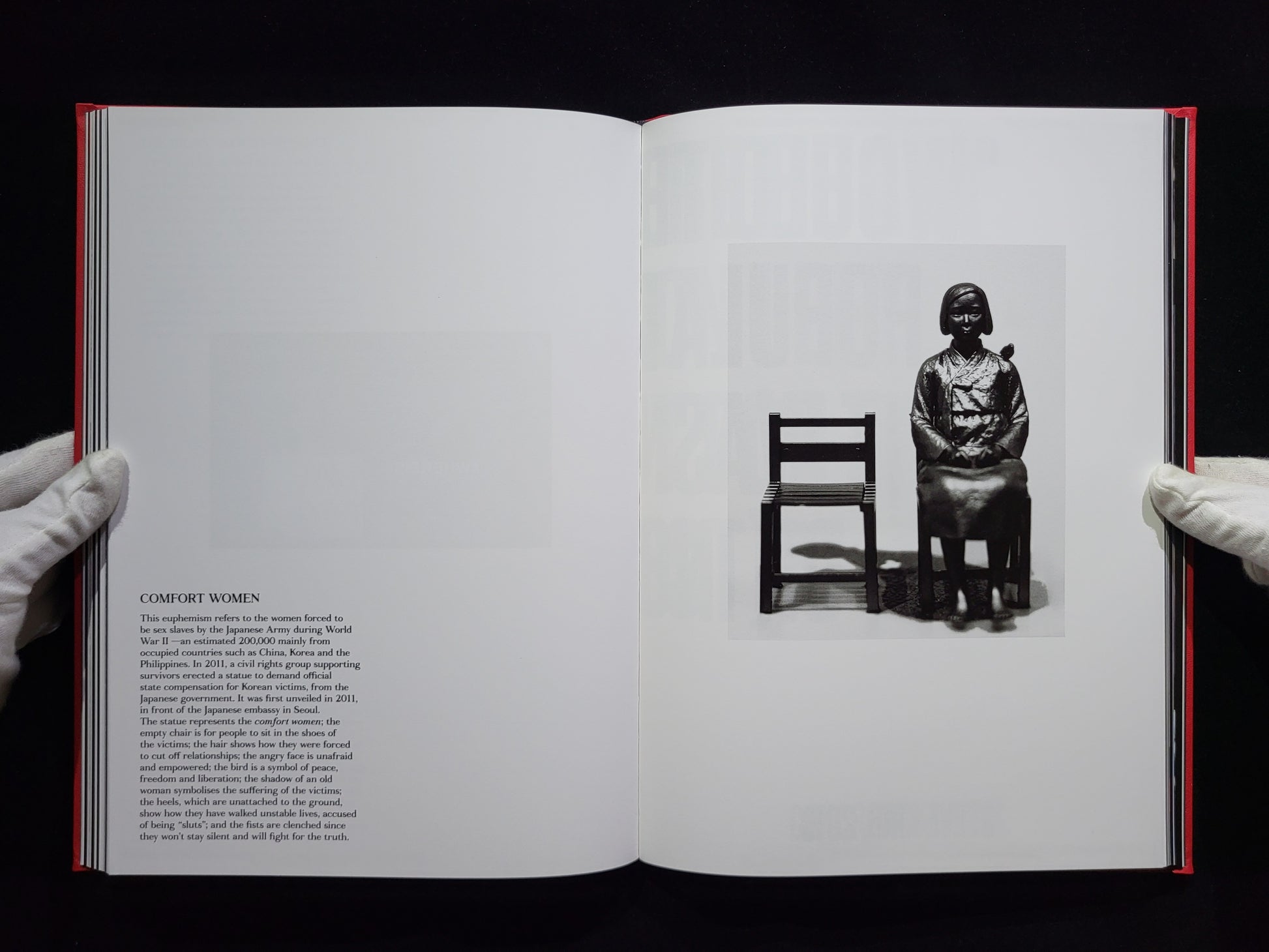 On Rape: And Institutional Failure / Laia Abril 