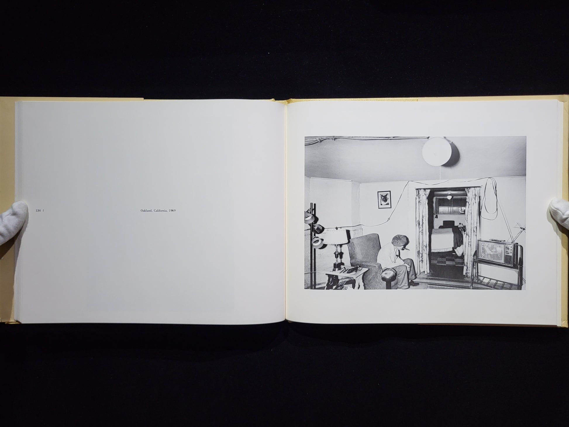 Interior America / Chauncey Hare