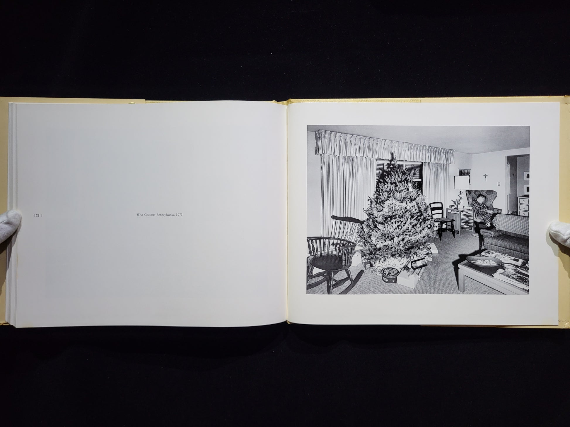 Interior America / Chauncey Hare