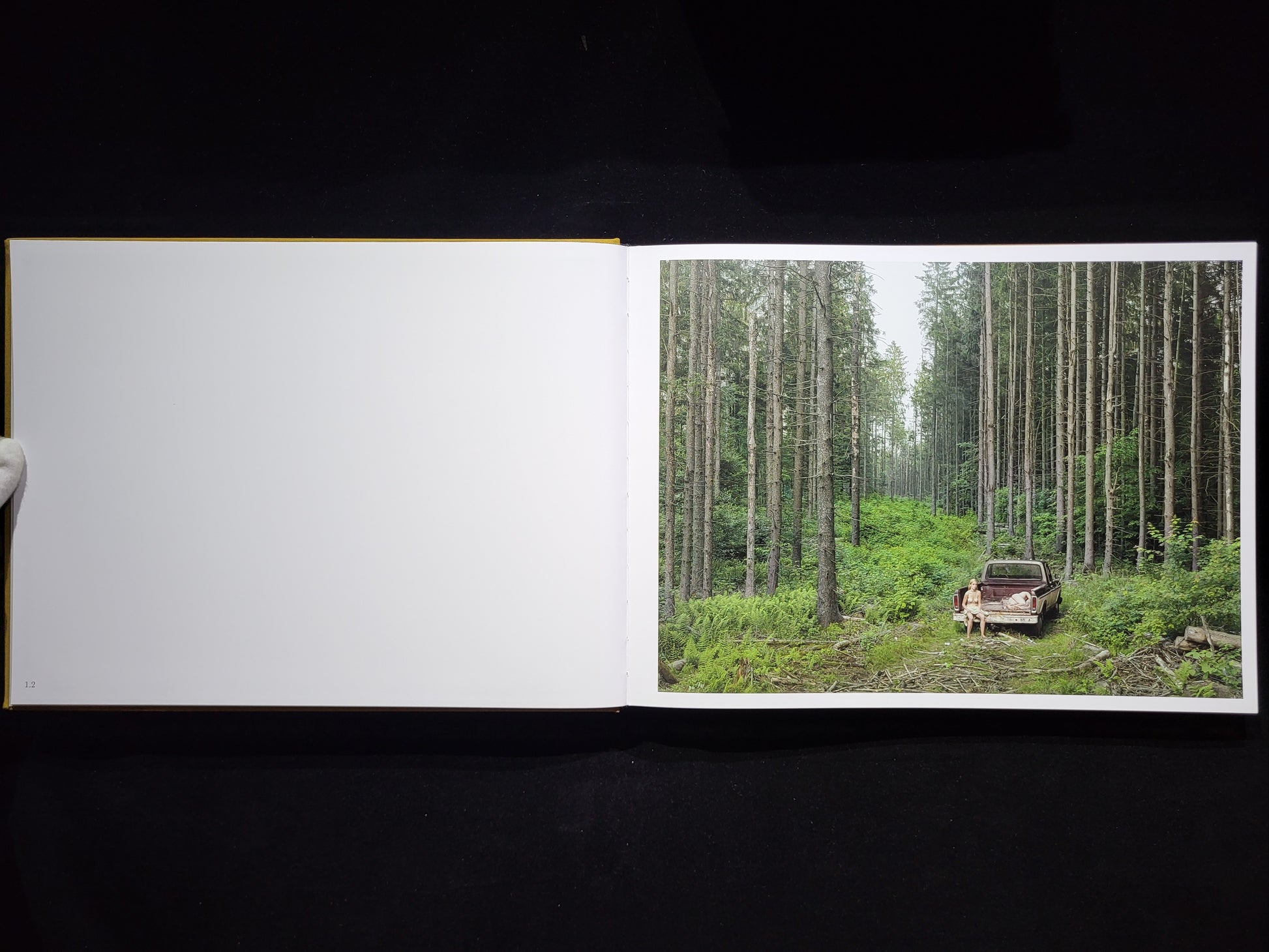 Alone Street / Gregory Crewdson