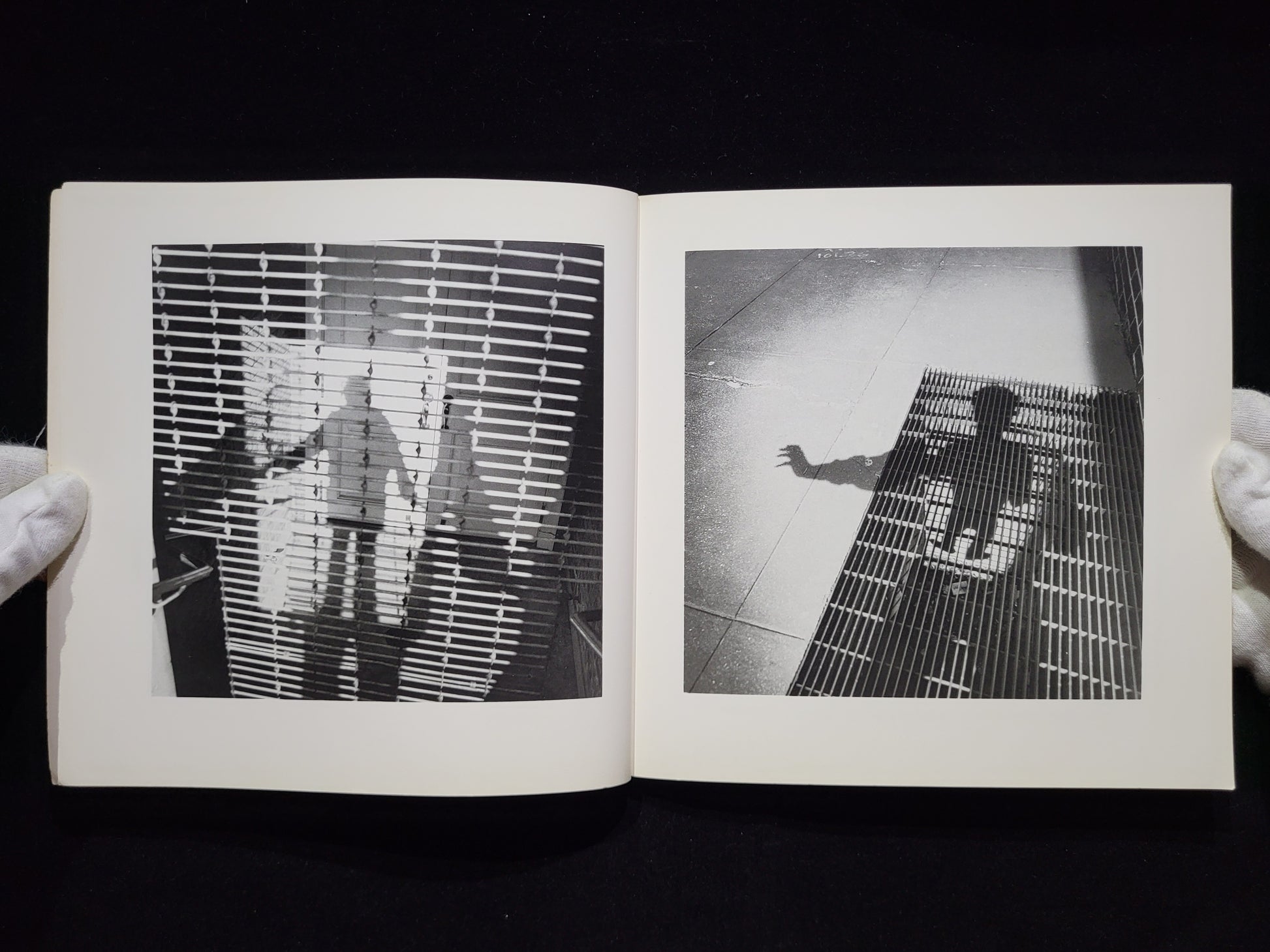 Shadow / Arthur Tress