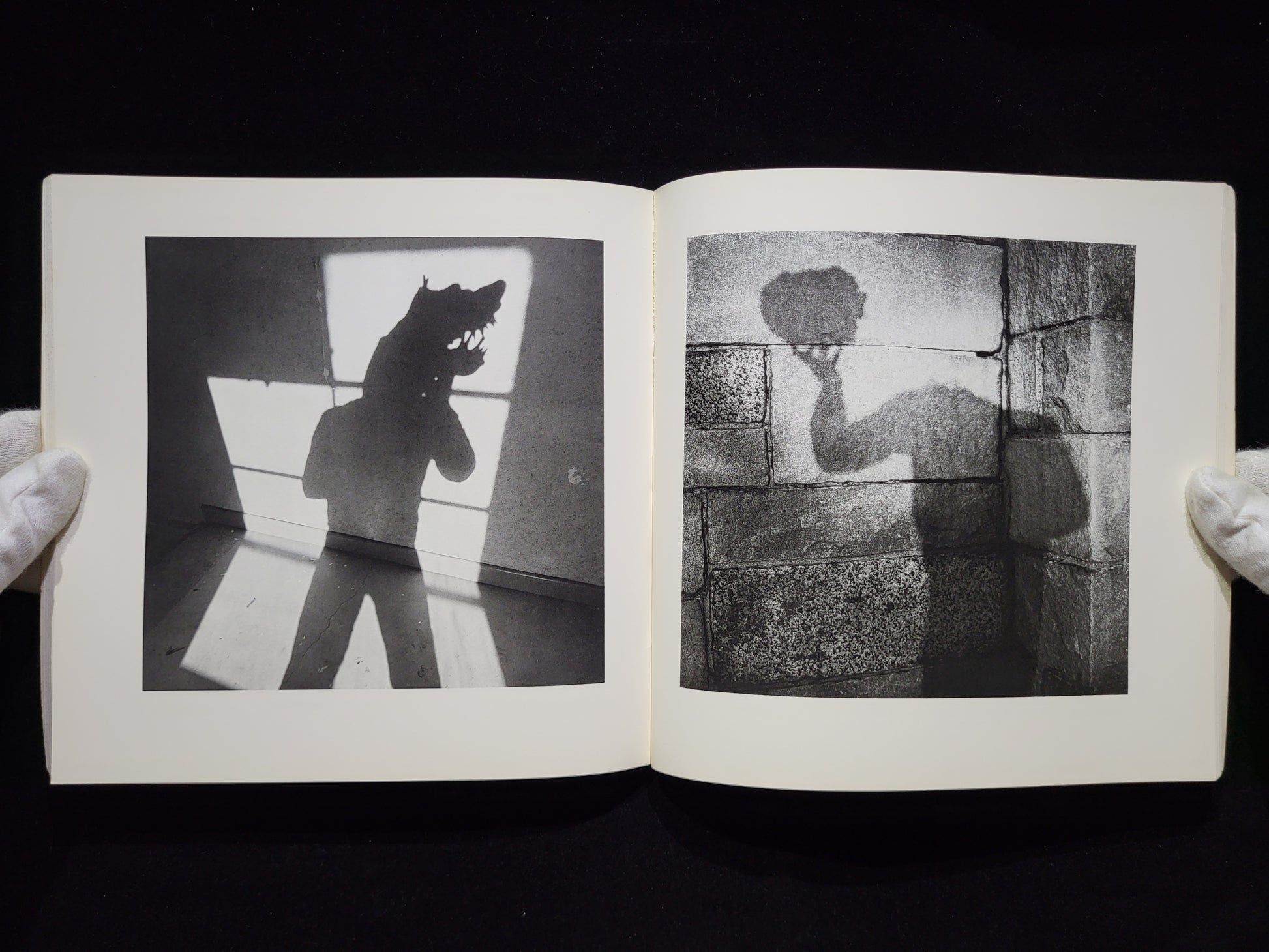 Shadow / Arthur Tress