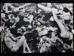 東京 TOKYO / William Klein