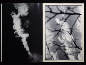 LAST COSMOLOGY / 川田喜久治