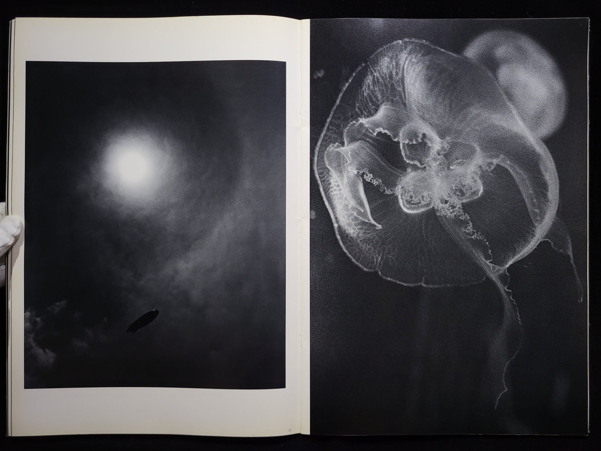 LAST COSMOLOGY / 川田喜久治