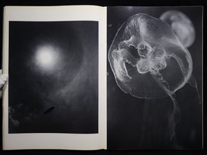 LAST COSMOLOGY / 川田喜久治