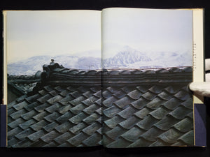 新たなる凝視 / 中平卓馬