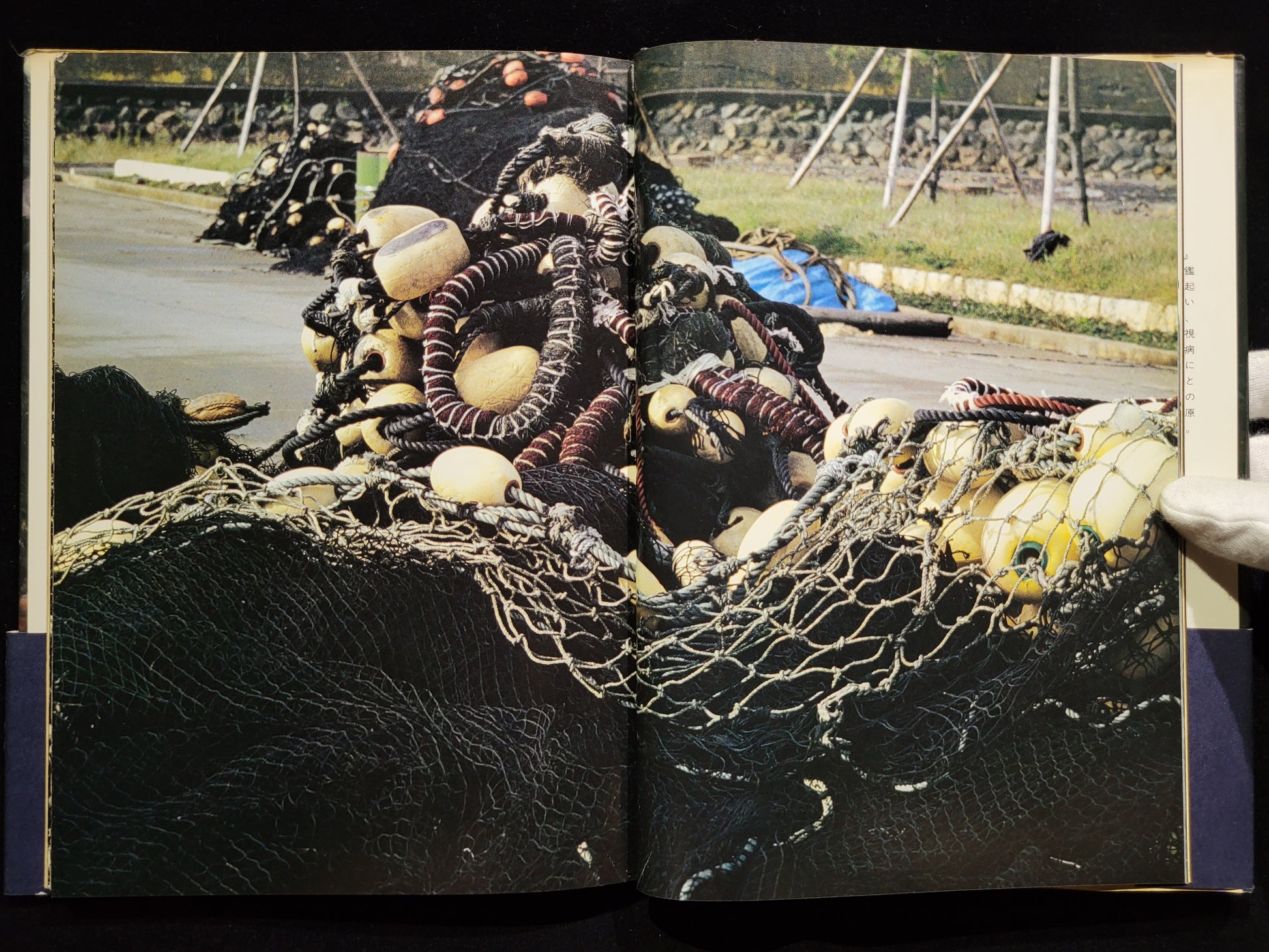 新たなる凝視 / 中平卓馬