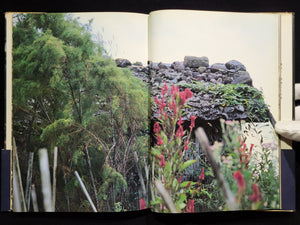 新たなる凝視 / 中平卓馬