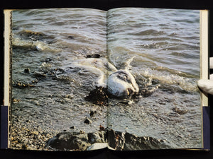 新たなる凝視 / 中平卓馬