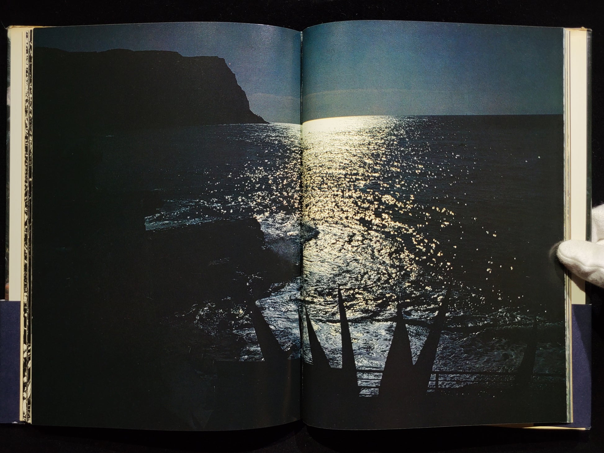 新たなる凝視 / 中平卓馬