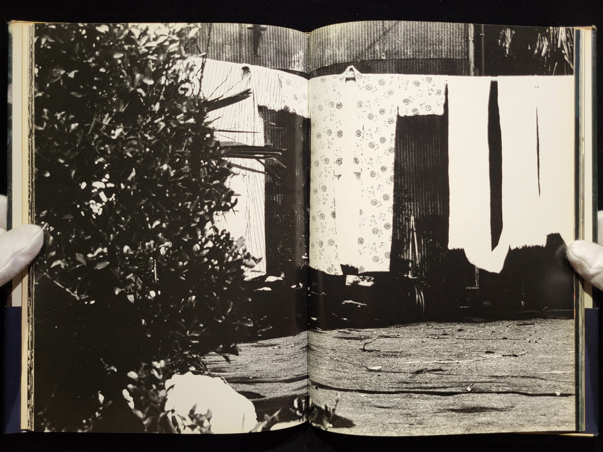 新たなる凝視 / 中平卓馬