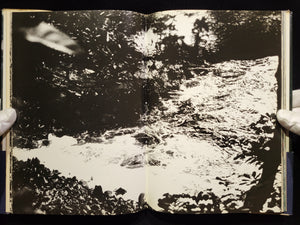 新たなる凝視 / 中平卓馬