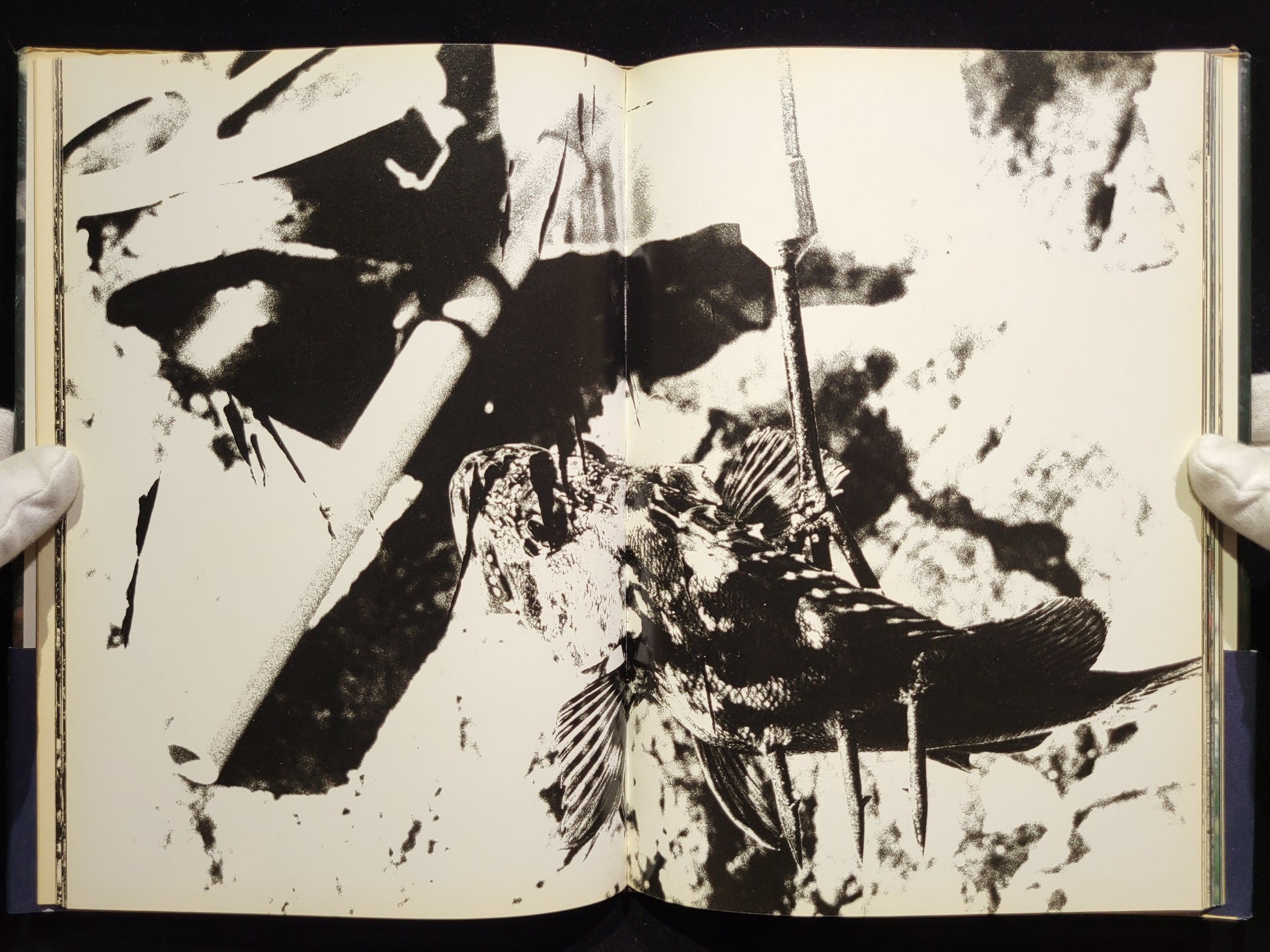 新たなる凝視 / 中平卓馬