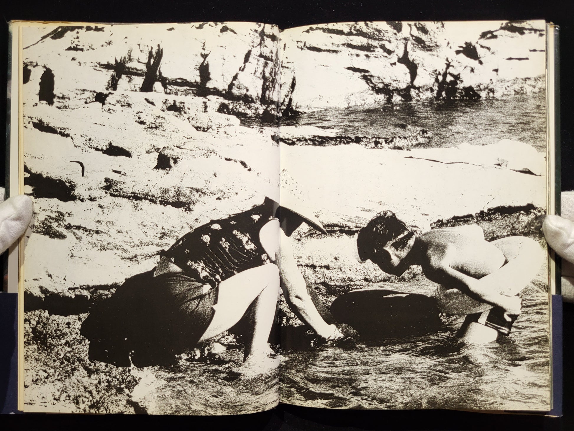 新たなる凝視 / 中平卓馬