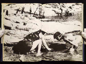 新たなる凝視 / 中平卓馬