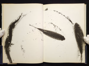 新たなる凝視 / 中平卓馬