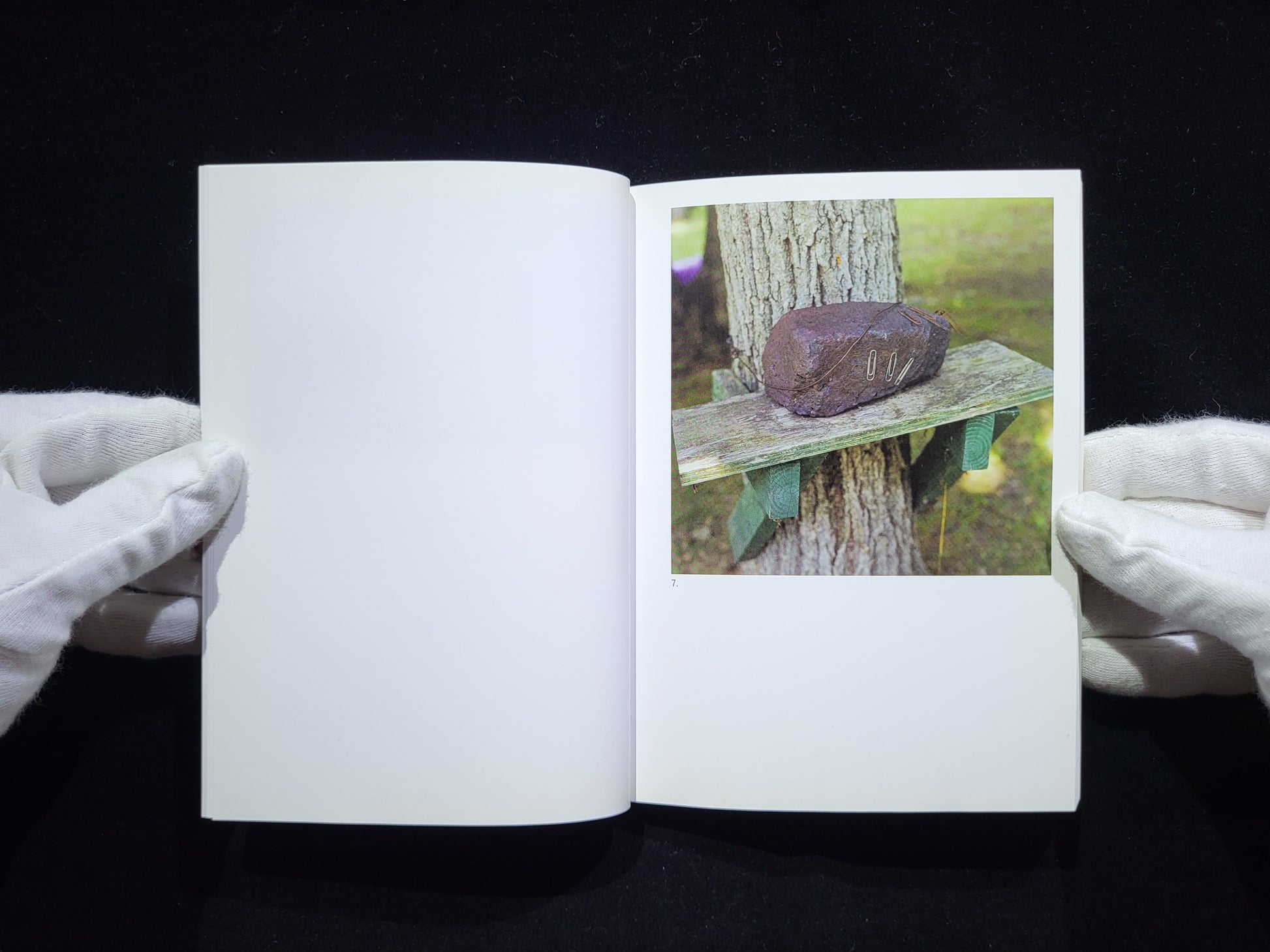 The Mushroom Collector / Jason Fulford