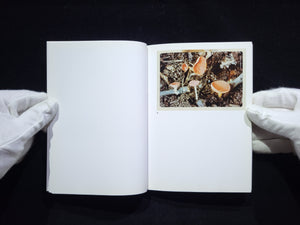 The Mushroom Collector / Jason Fulford