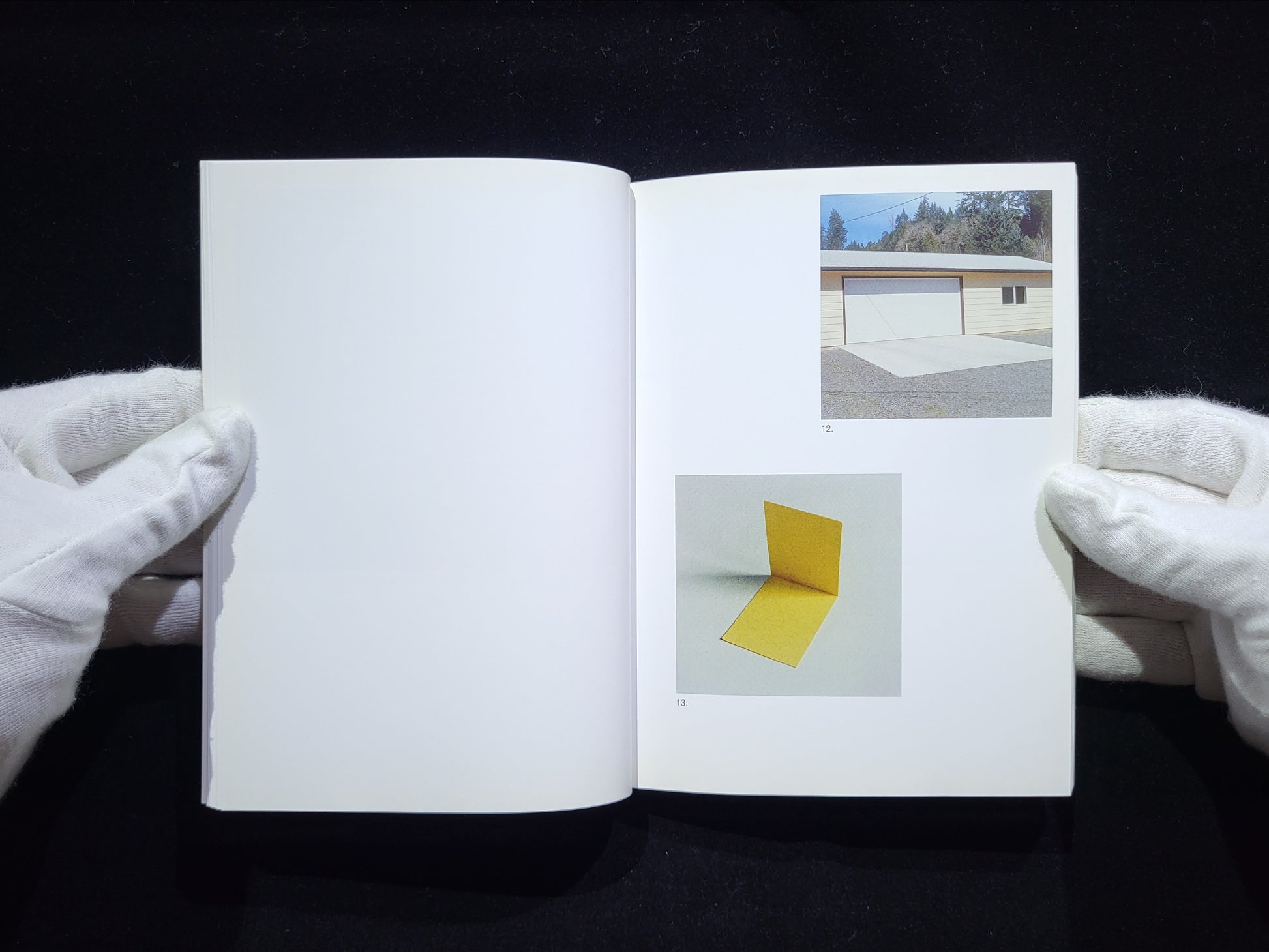 The Mushroom Collector / Jason Fulford