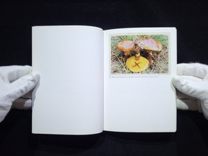 The Mushroom Collector / Jason Fulford