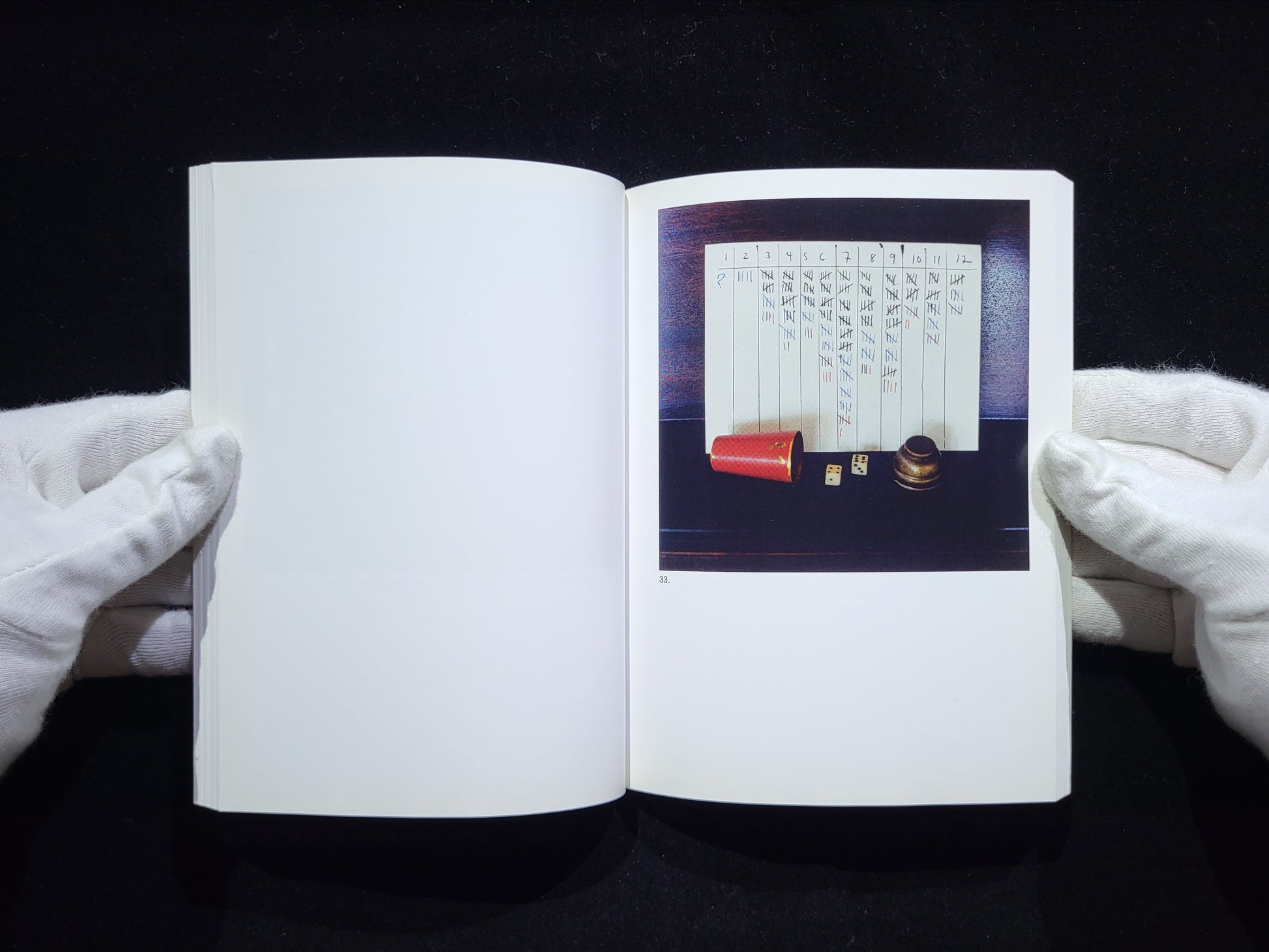 The Mushroom Collector / Jason Fulford