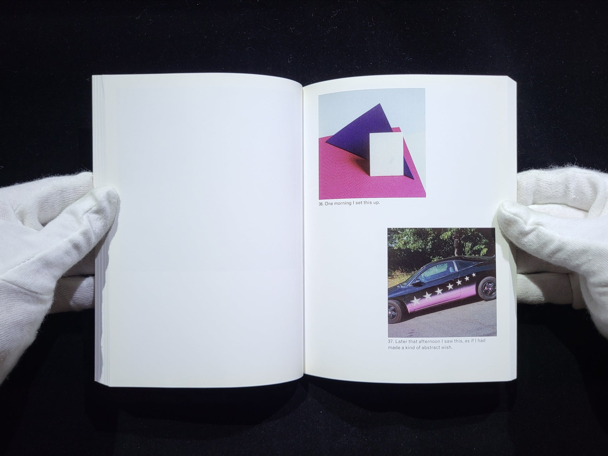 The Mushroom Collector / Jason Fulford