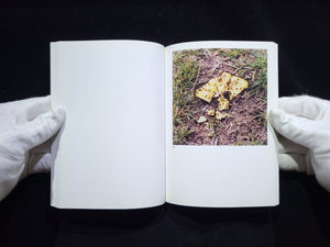 The Mushroom Collector / Jason Fulford