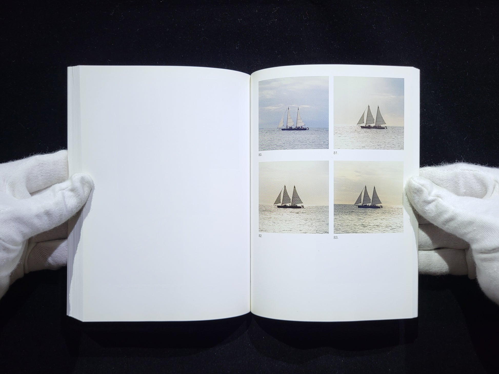 The Mushroom Collector / Jason Fulford