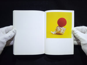 The Mushroom Collector / Jason Fulford