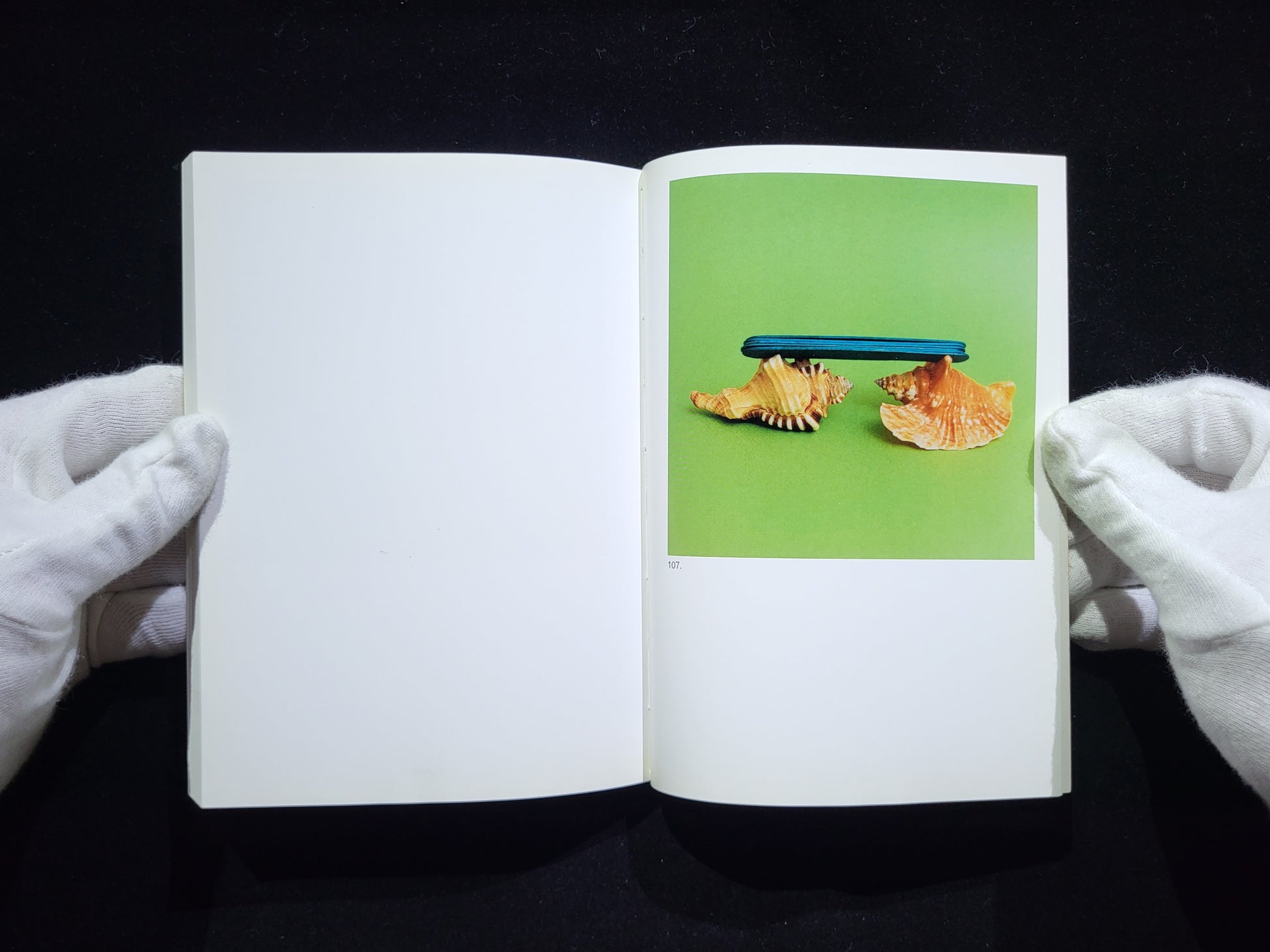 The Mushroom Collector / Jason Fulford